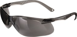 Tecwerk Veiligheidsbril Daylight One Getint