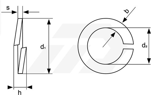 Veerring M22 (23.5x35.9x4.0) Verzinkt DIN127-B-2