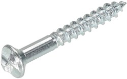 Anti Inbraakschroef 4.0x30mm Verzinkt