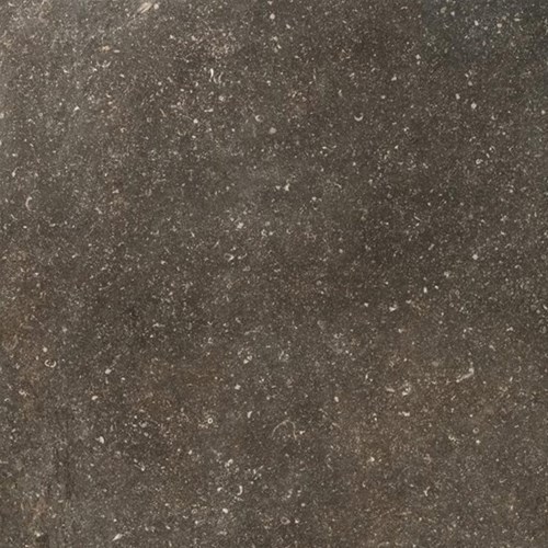 Douglas & Jones Elemental 60x60cm Tegel Desir Gesatineerd R9