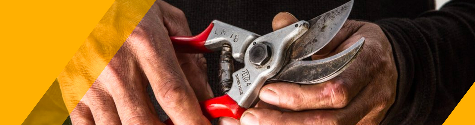 Handgereedschap - Scharen - Snoeischaar