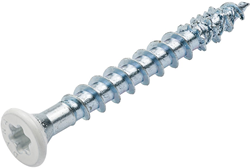 Dynaplus Beslagschroeven 4.5x40mm Verzinkt 8mm Met Witte Kop TX20 (200 stuks)