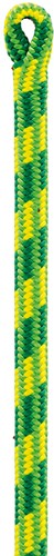 Petzl Control 12.5mm Semi-Statisch Boomonderhoud Touw 35 Mtr. Groen