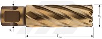 Rotec Kernboor 49x55mm HSS-XE Gold-Line UNI-2