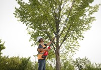 Milwaukee M18 BLTS-0 18V Telescopische Snoeischaar (Basic in Doos)-3